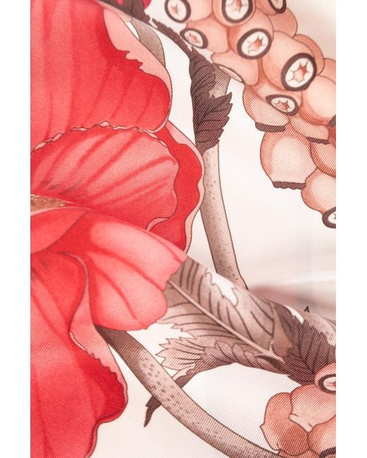 Ferragamo Pink Ferragamo Floral Printed Scarf