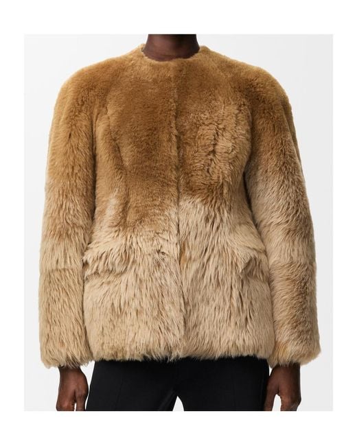 Loewe Brown Jacket
