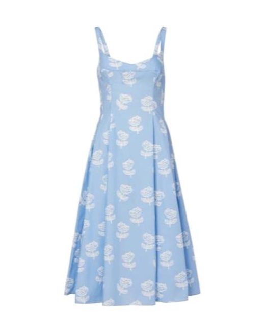 Marni Blue Floral Cotton Midi Dress