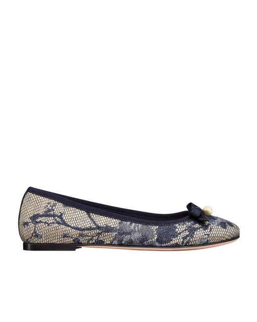 Dior Multicolor Ballet Flat