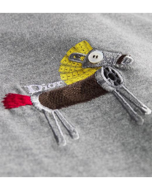 Dior Gray T-Shirt With Horse Embroidery, Relaxed Fit for men