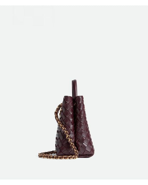 Bottega Veneta Purple Small Andiamo Chain