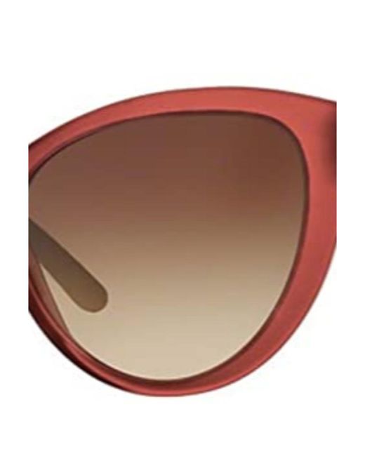 Burberry Brown Logo Sunglasses
