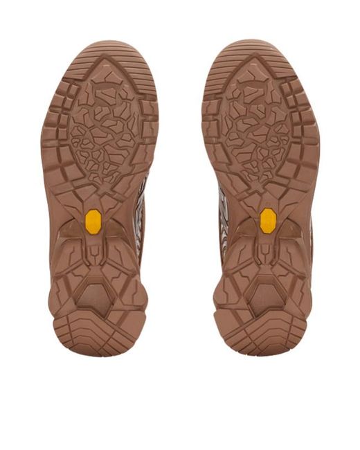 Balmain Brown Cosmic Dust Sneakers