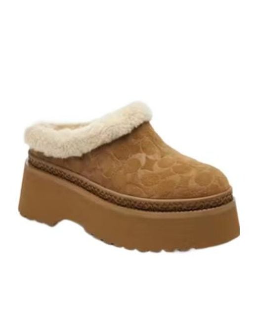 COACH Brown Logo Signature Cecelia Clogs