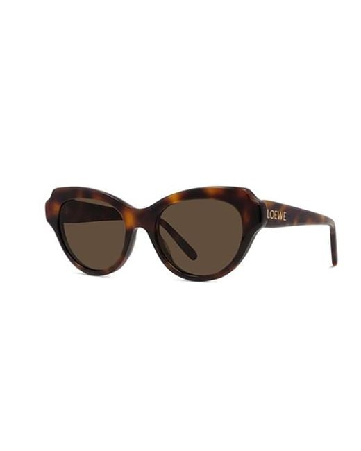 Loewe Multicolor Cat Eye Frame Sunglasses