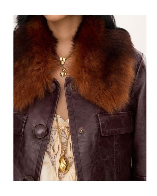 Chloé Brown Cropped Jacket