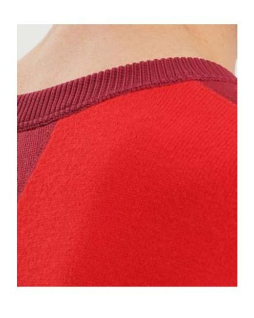 1989 STUDIO Red Contrast Crewneck Sweater for men
