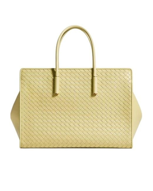 Bottega Veneta Metallic Barbara Tote