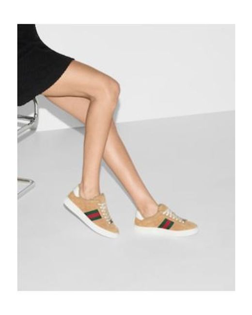 Gucci Multicolor Web Detailed Low-Top Sneakers