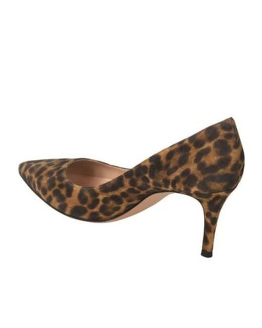 Gianvito Rossi Brown Leopard Printed Pointed-Toe Pumps