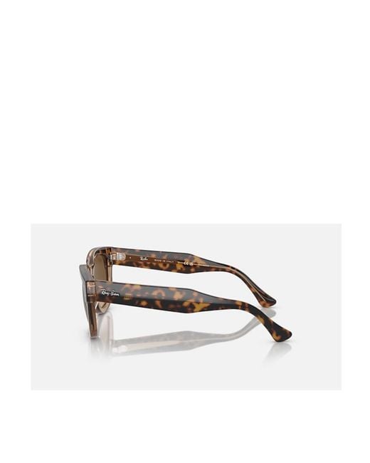 Ray-Ban Multicolor Full Frame Sunglasses