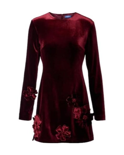 Leo Red Aliza Floral-Appliqué Velvet Minidress