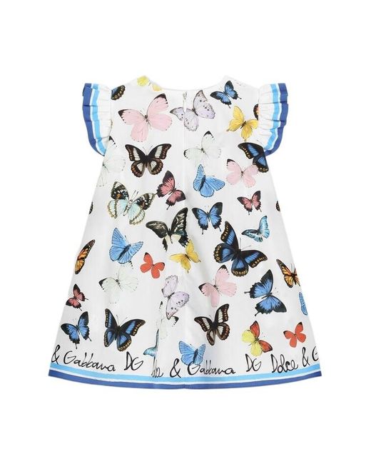 Dolce & Gabbana Blue Butterfly-Print Dress
