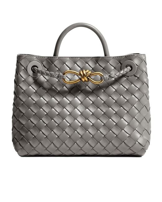 Bottega Veneta Gray Small Andiamo