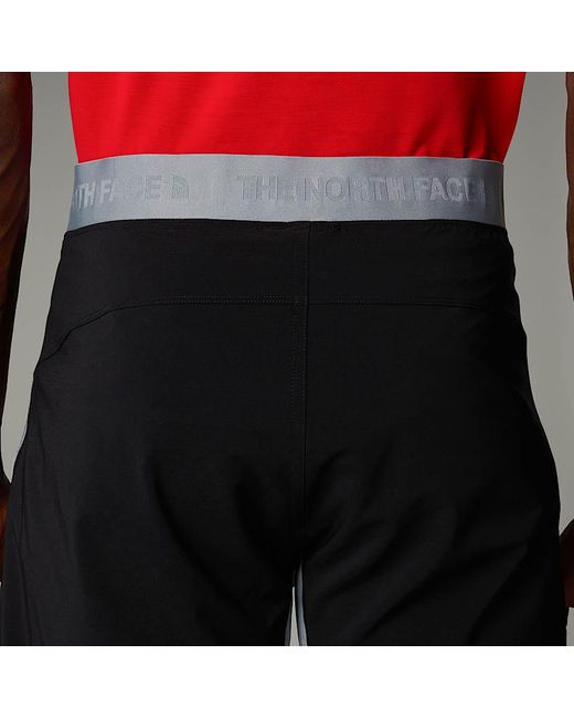 The North Face Gray Felik Shorts for men