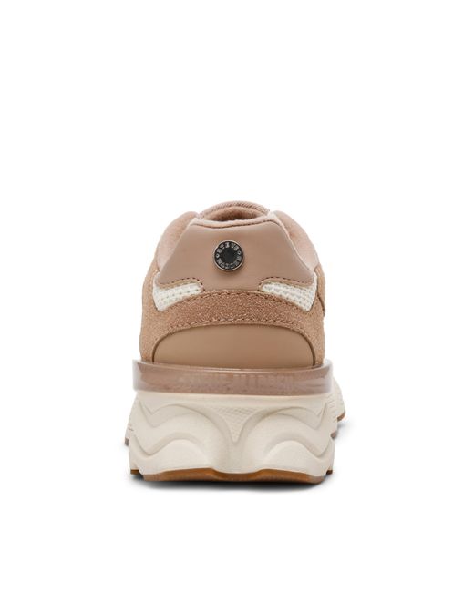 Steve Madden Brown Color Block Sneakers
