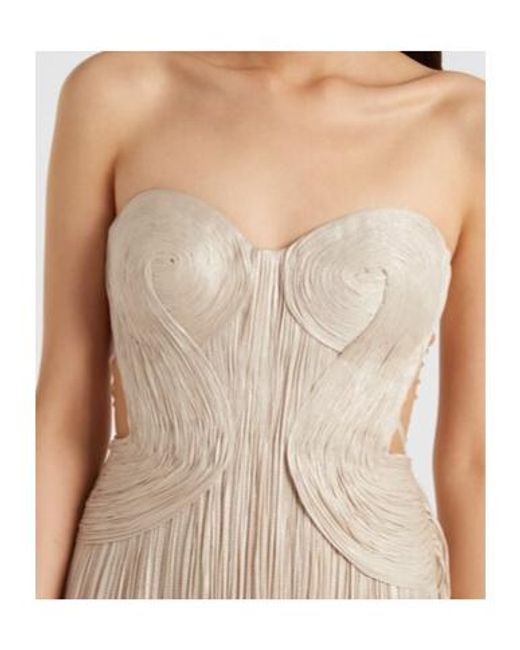 Maria Lucia Hohan Natural Kamina Cutout Silk Tulle Bustier Gown