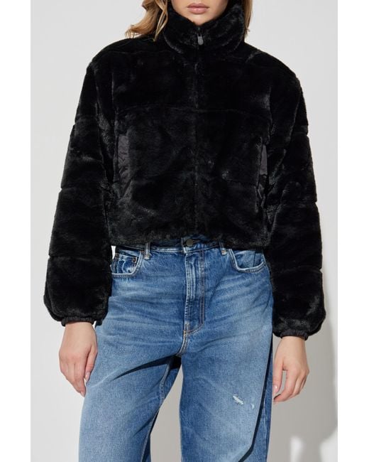 Save The Duck Black Yuki High Neck Jacket