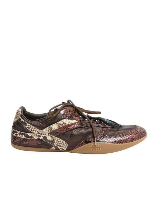 Miu Miu Brown Gymnasium Sneakers