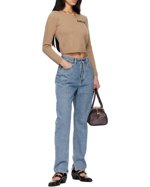 Chloé Multicolor Chloé Logo Detailed Cropped Sweater