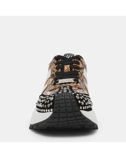 Steve Madden Multicolor Low-Top Casual Shoes