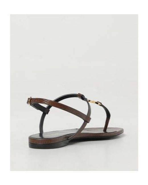 Saint Laurent Brown Logo Plaque Open-Toe Sandals