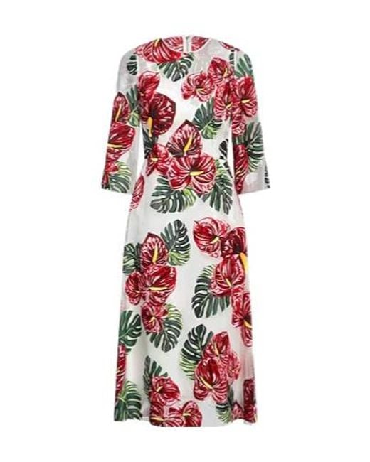 Dolce & Gabbana Red Floralprint Dress