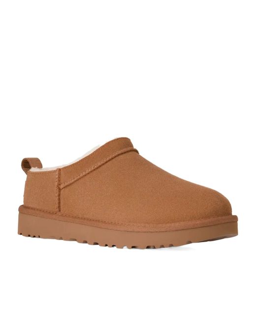 Ugg Brown Classic Micro Sandals