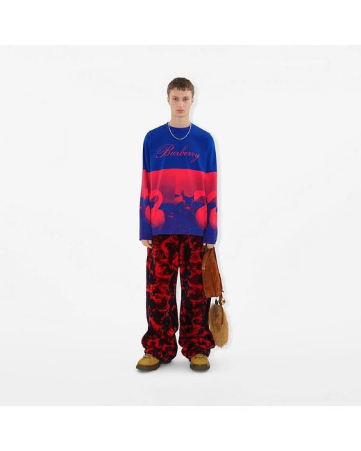 Burberry Blue Photograph-Print Cotton-Blend Sweatshirt for men