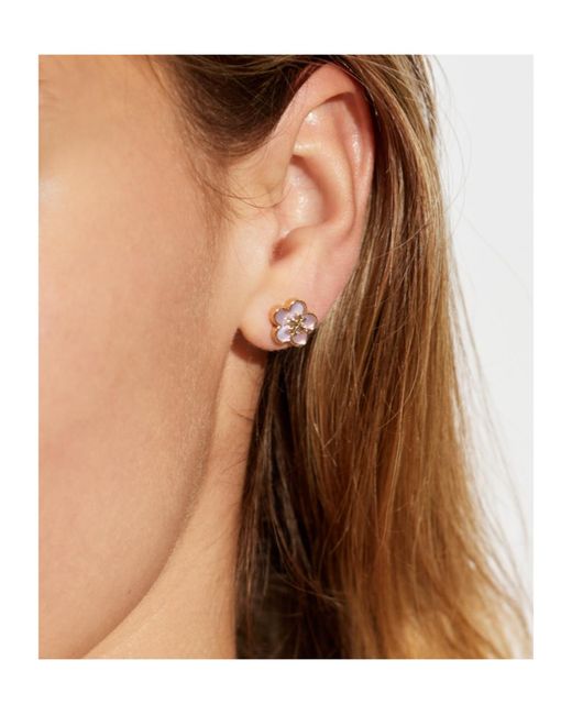 Tory Burch White Forget Me Not Stud Earrings