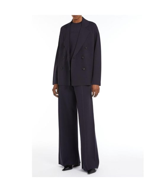 Max Mara Blue Assiro High Waist Wide-Leg Pants