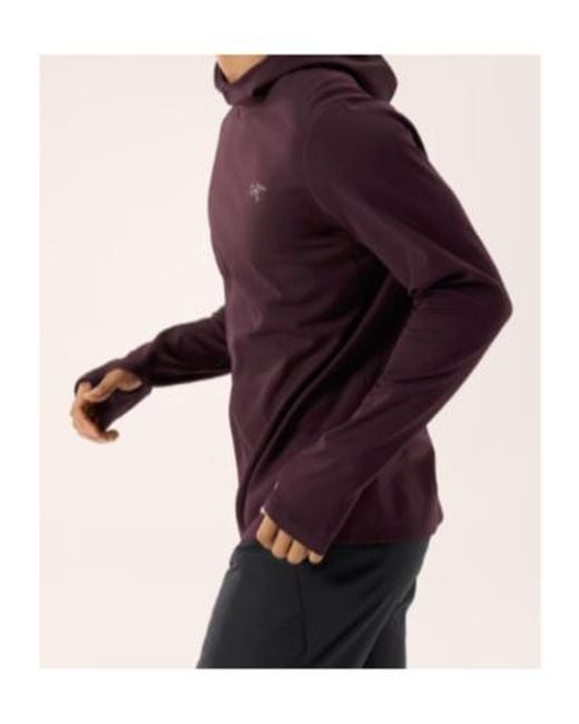 Arc'teryx Purple Cormac Hoodie for men