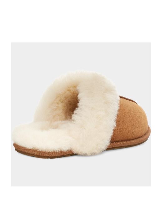 Ugg Brown Round Head Slippers