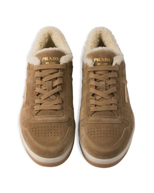 Prada Brown Downtown Suede Sneakers for men