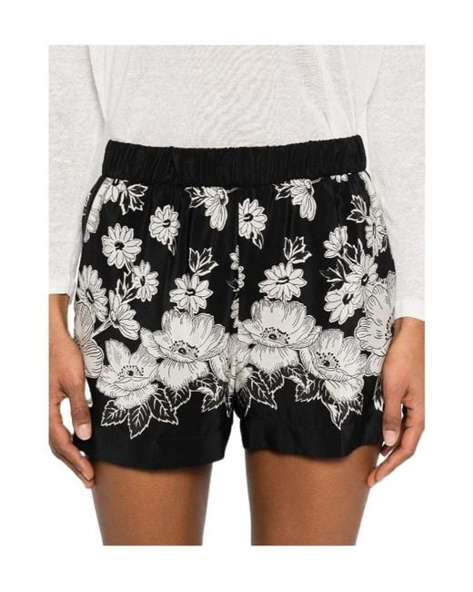 P.A.R.O.S.H. Black Elastic Waist Shorts