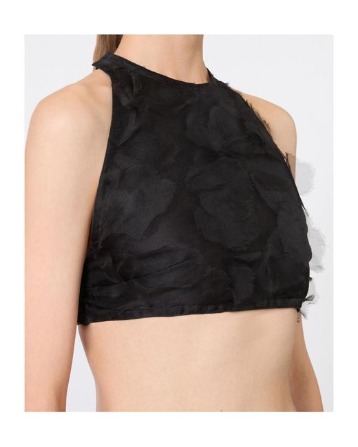 Max Mara Black Mxsfumetto Cut-Out Crop Top