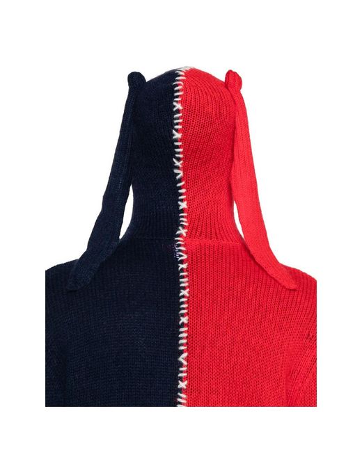 charlesjeffreyloverboy Red Charles Jeffrey Loverboy Roll-Neck Hooded Jumper for men