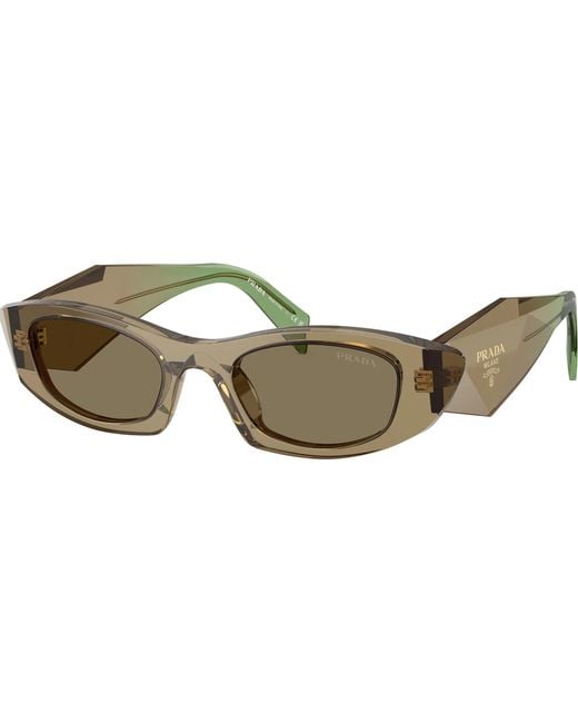 Prada Multicolor Eyewear Cat-Eye Sunglasses