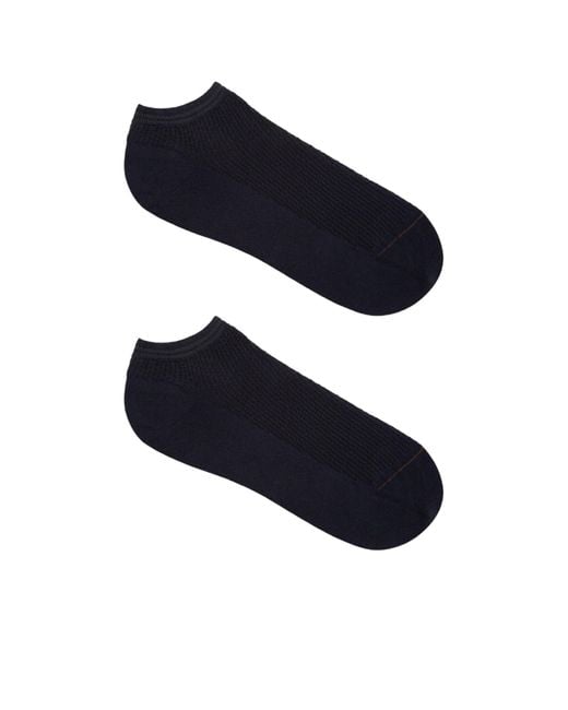 Zegna Blue Cotton Blend Socks for men