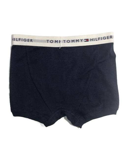 Tommy Hilfiger Blue Logo Detail Panties for men