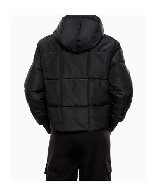 EA7 Black Quilted Insulated Padded Jacket