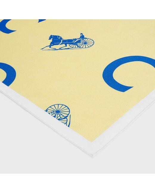 Céline Blue Square