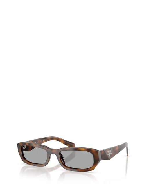 Prada Brown Symbole Sunglasses