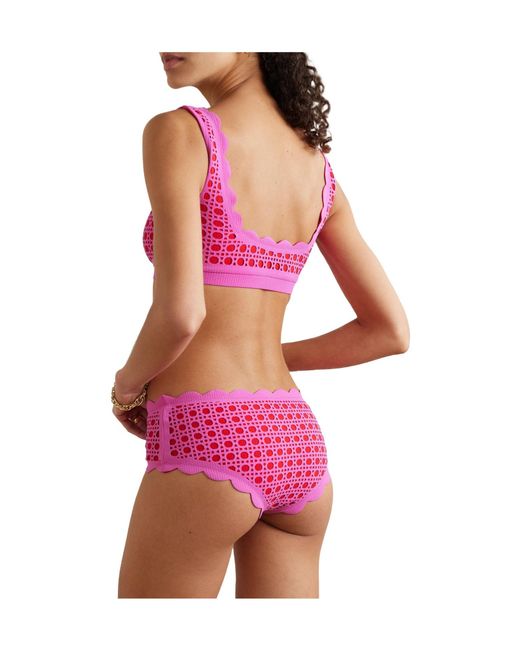Marysia Swim Pink Spring Scalloped Laser-Cut Bikini Briefs