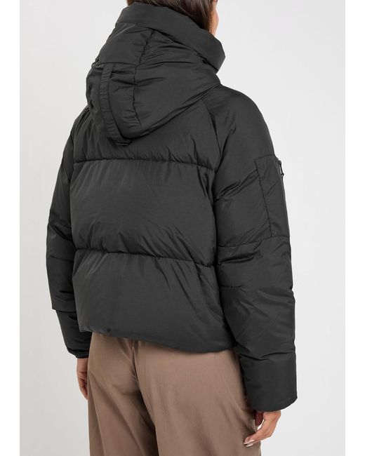 Canada Goose Black Chilliwack Quilted Hooded Nylon Jacket