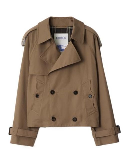 Burberry Brown Cropped Gabardine Trench Jacket for men