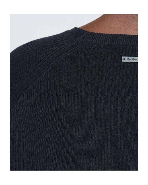Max Mara Blue Loose Cashmere And Silk Jumper