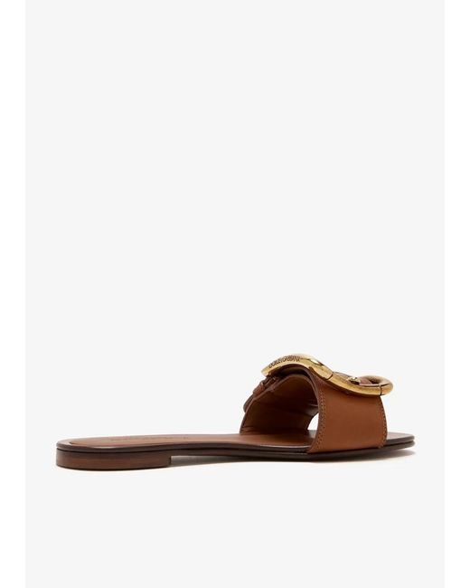 Dolce & Gabbana Brown Buckle Strap Flat Sandals
