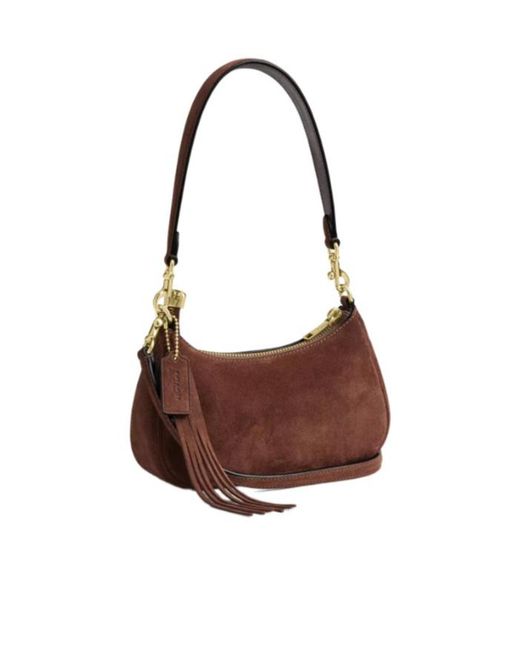 COACH Brown Teri Mini Crossbody Bag
